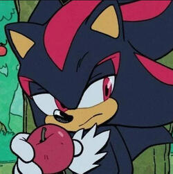 Shadow the Hedgehog (StH)